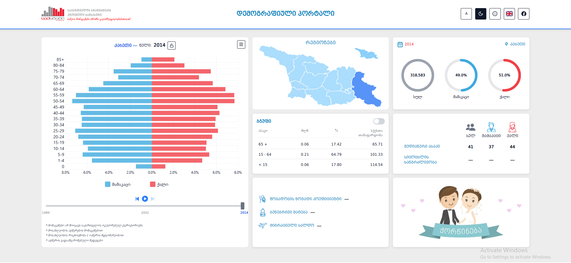 Demographic Statistics Portal